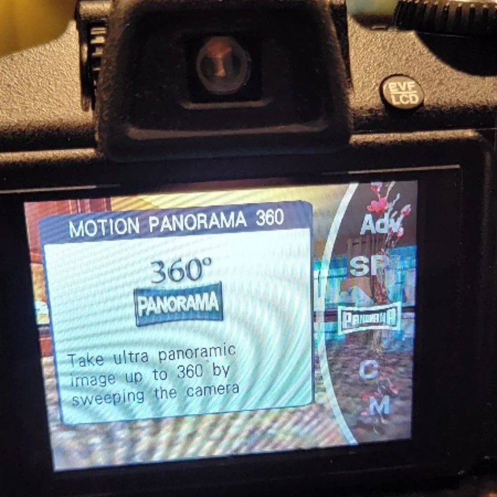 FujiFilm FinePix S9900W Digital Camera & Accessories & Sony Case